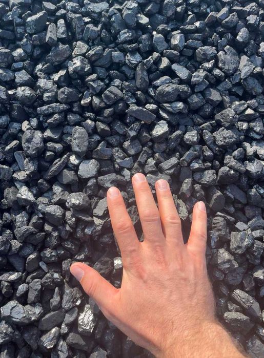 Купити вугілля, пелети, брикети RUF, PINI KAY, NESTRO з гарантією