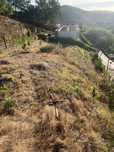 Terreno em Escudeiros, Braga
