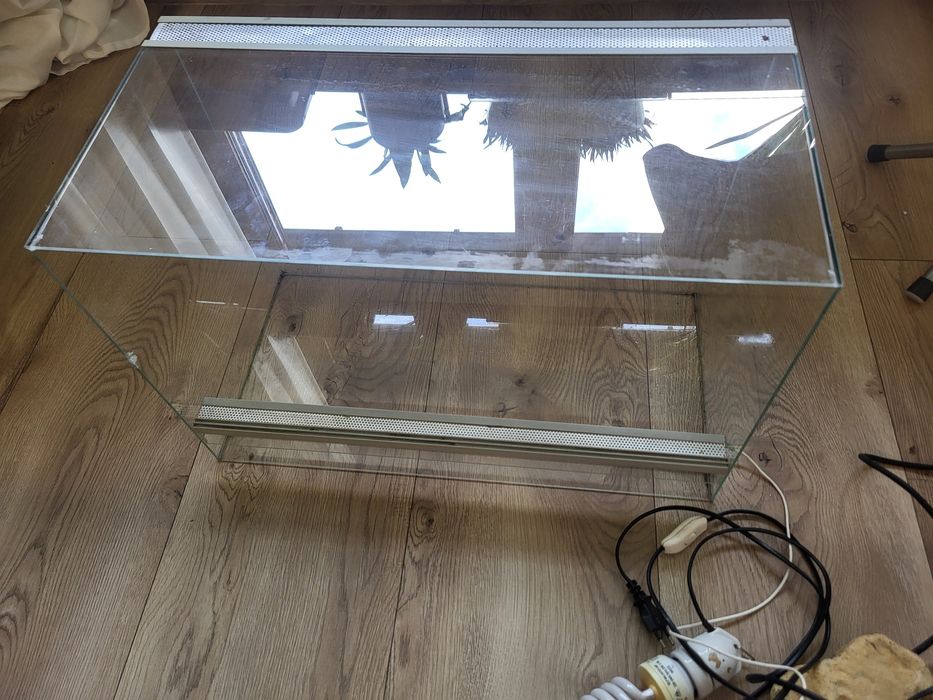 Terrarium dla agamy, gekona