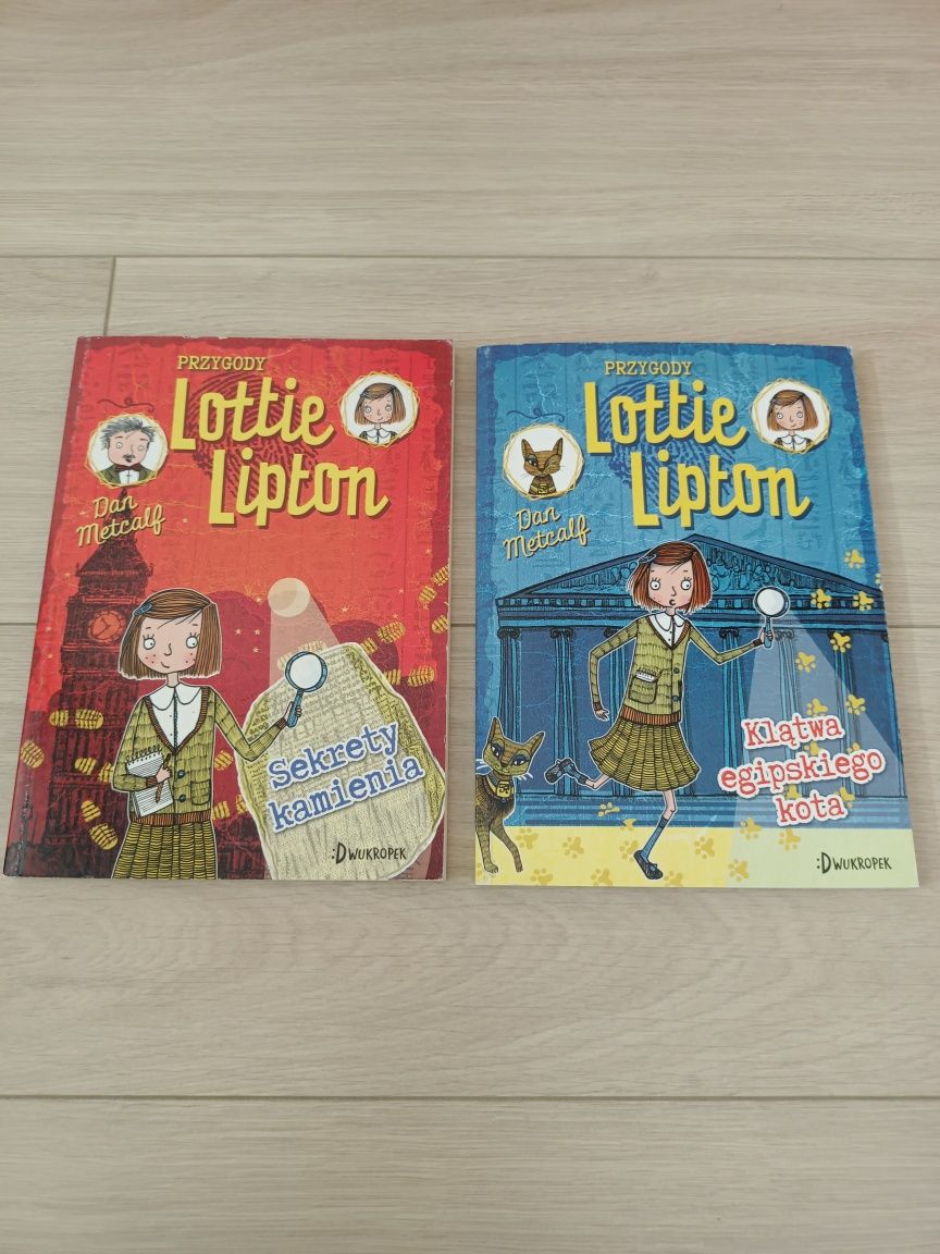 Lottie Lintin, zestaw, klatwa egipskiego kota, sekrety kamienia