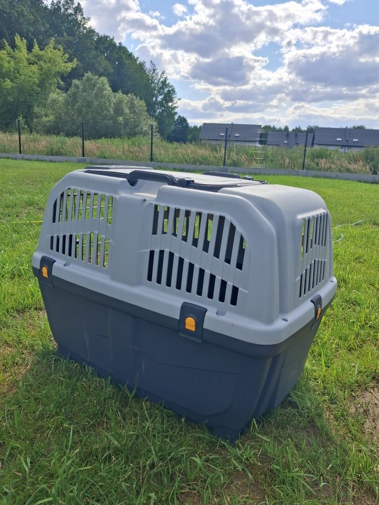 Transporter Skudo 3