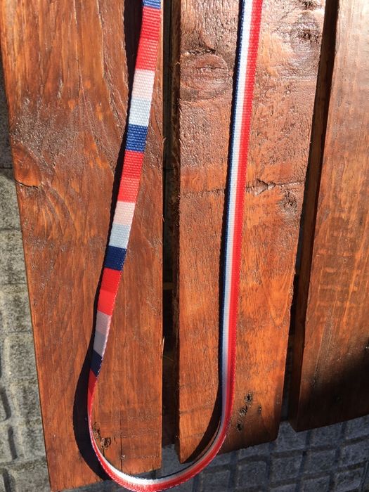 Trela para cão ou gato Zee Dog