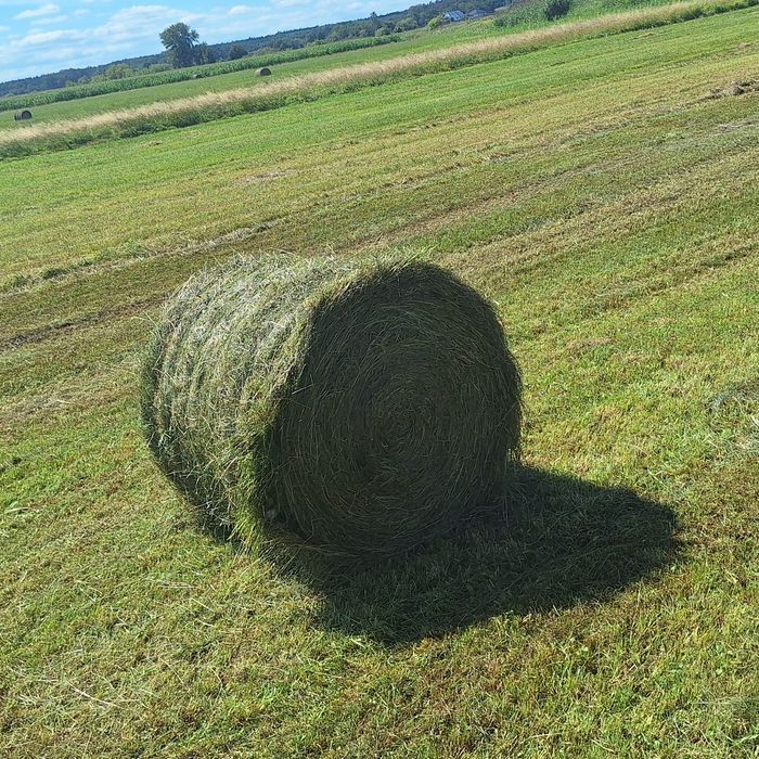 Sprzedam sianokiszonkę