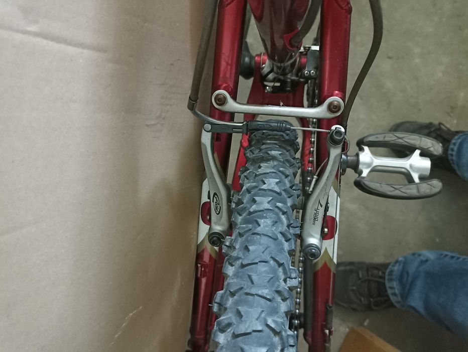 RAZORBACK K2 Noleen,xtr,avid