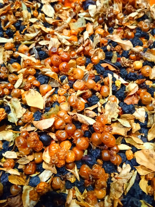 Брусниця, Чорниця, Журавлина