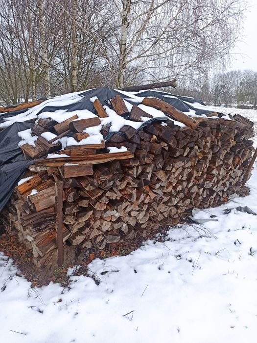 Sprzedam suche drzewo Szczepana sosna