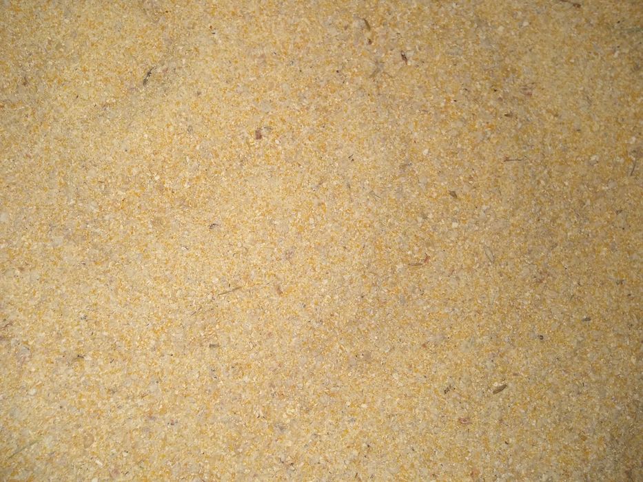 Kukurydza dla kur ryb słonecznik proso owies soja