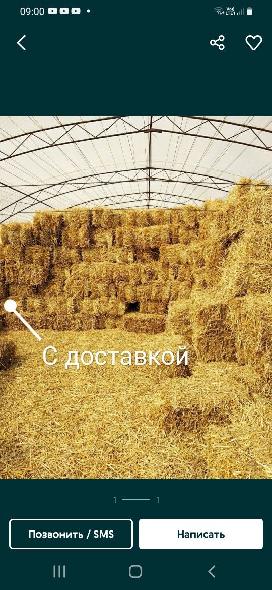 Солома овсяна в тюках