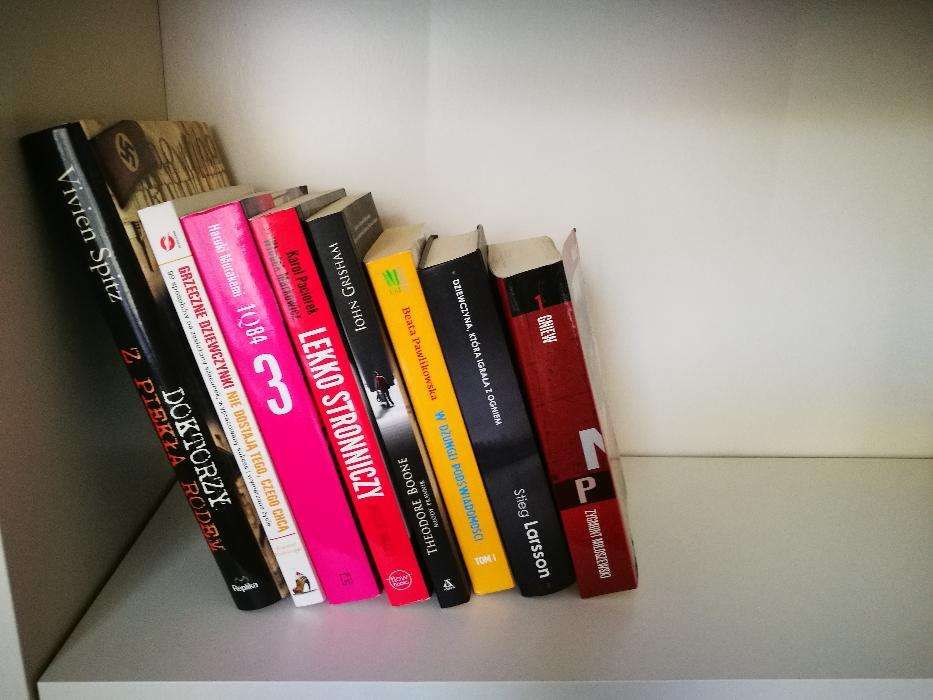 Stieg Larsson - "Dziewczyna, która igrała z ogniem" część 1