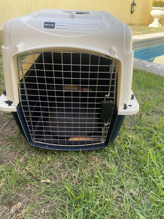 Caixa de transporte para cao ou gato