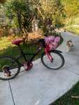 Vendo bicicleta de criança