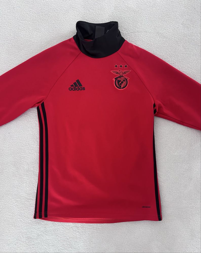 Sweat Benfica / SLB