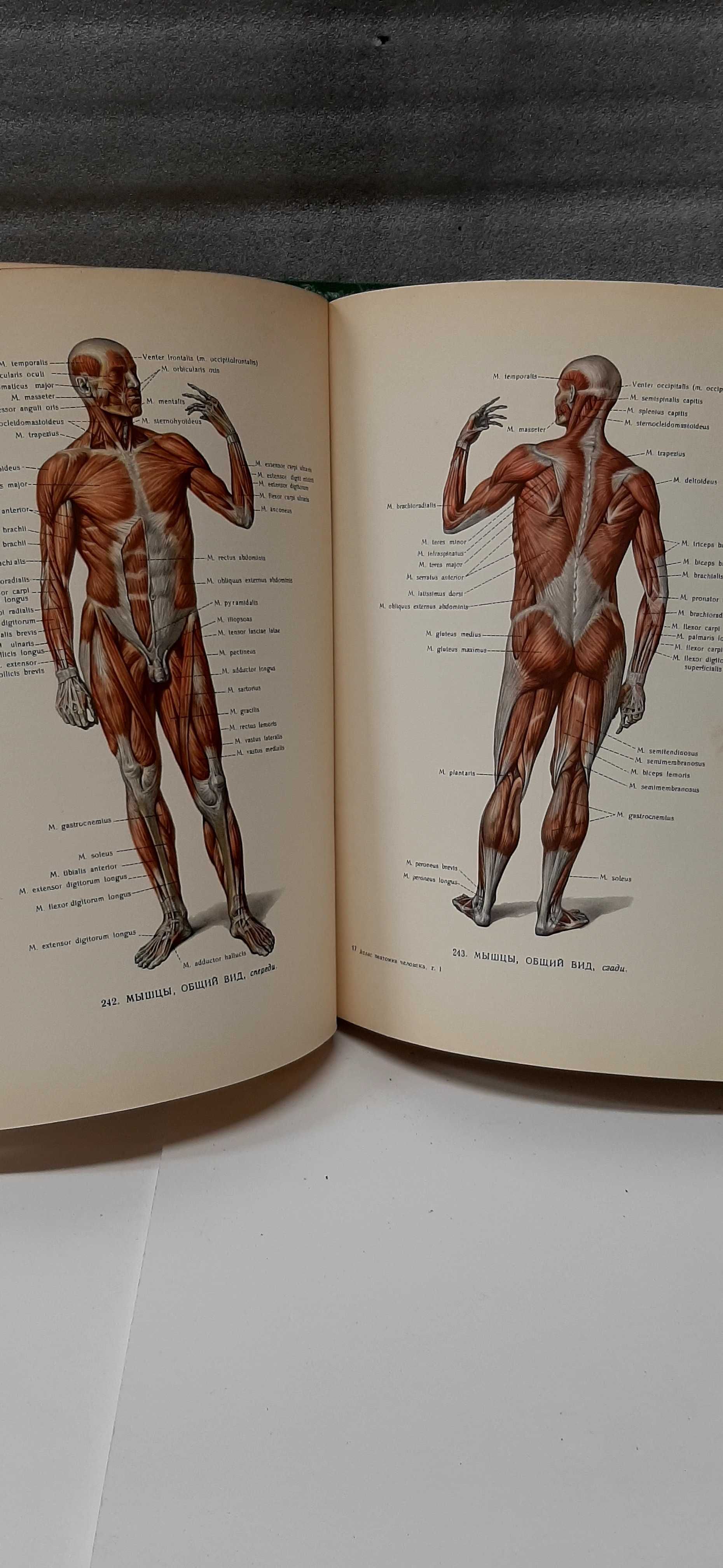 Sinelnikov Atlas anatomiczny l-lll t. 1963r.