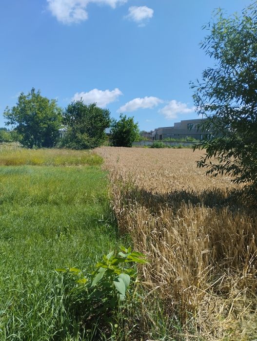 Продаж земельна ділянка, під забудову