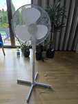 Wentylator stojący 40 cm Castorama