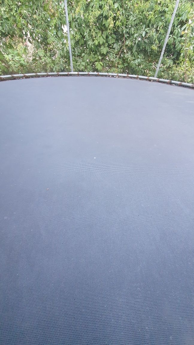 Trampolina 260cm