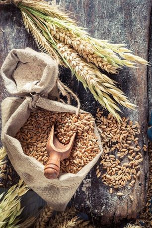 Зерно пшениці 4 центнери