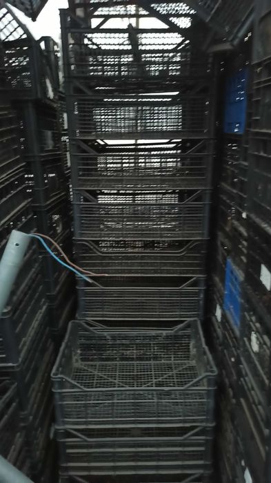 Skrzynki plastikowe