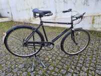 Bicicleta Pasteleira Sport