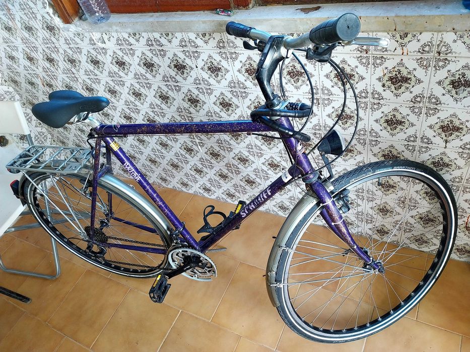 Bicicleta Adulto