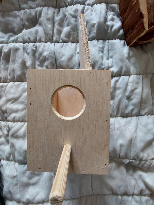 Ninho piriquito novo