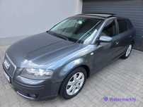 Audi A3 LIFT 1.9 TDI 2007 Panorama Alu Climatronic Zarejestrowany
