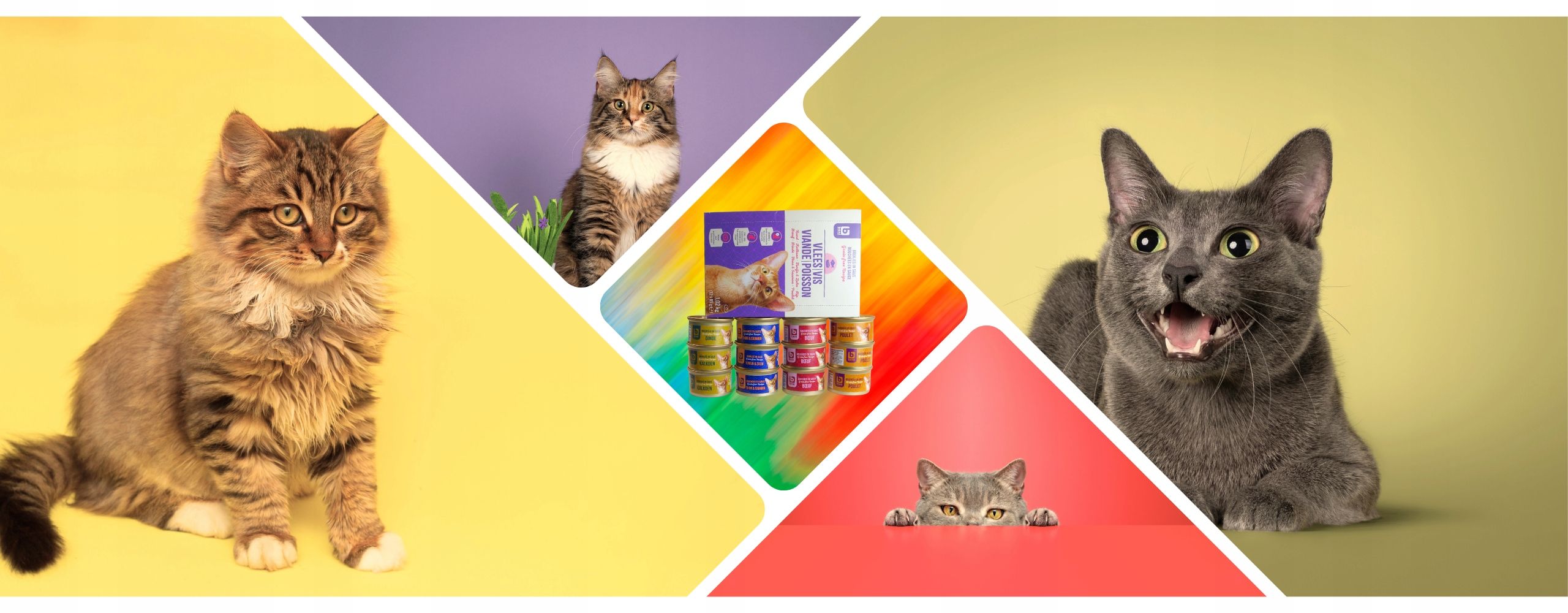 48 x Karma Mokra Boni Selection dla Kotów, Cztery Smaki, 85g
