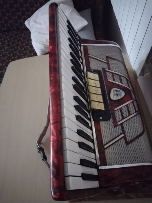 Harmonia galotta 120