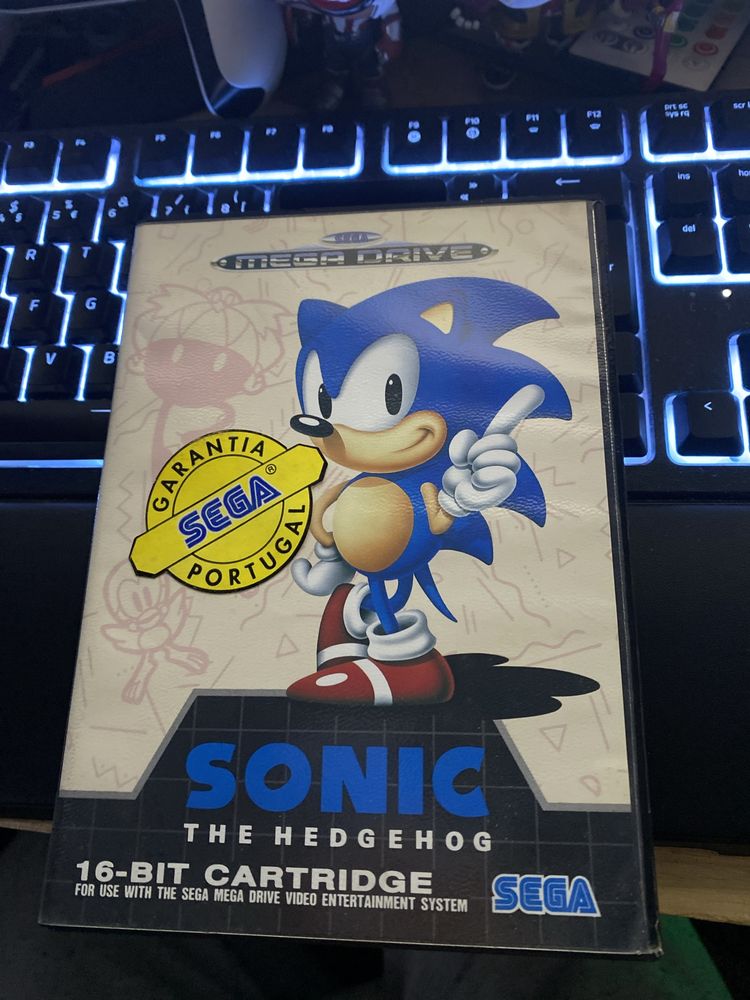 Sonic the hedgehog