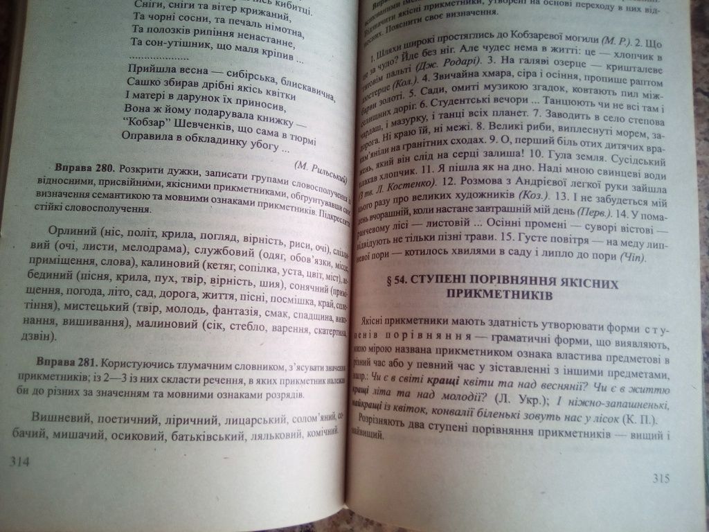 Сучасна українська літературна мова Шкуратяна Шевчук.