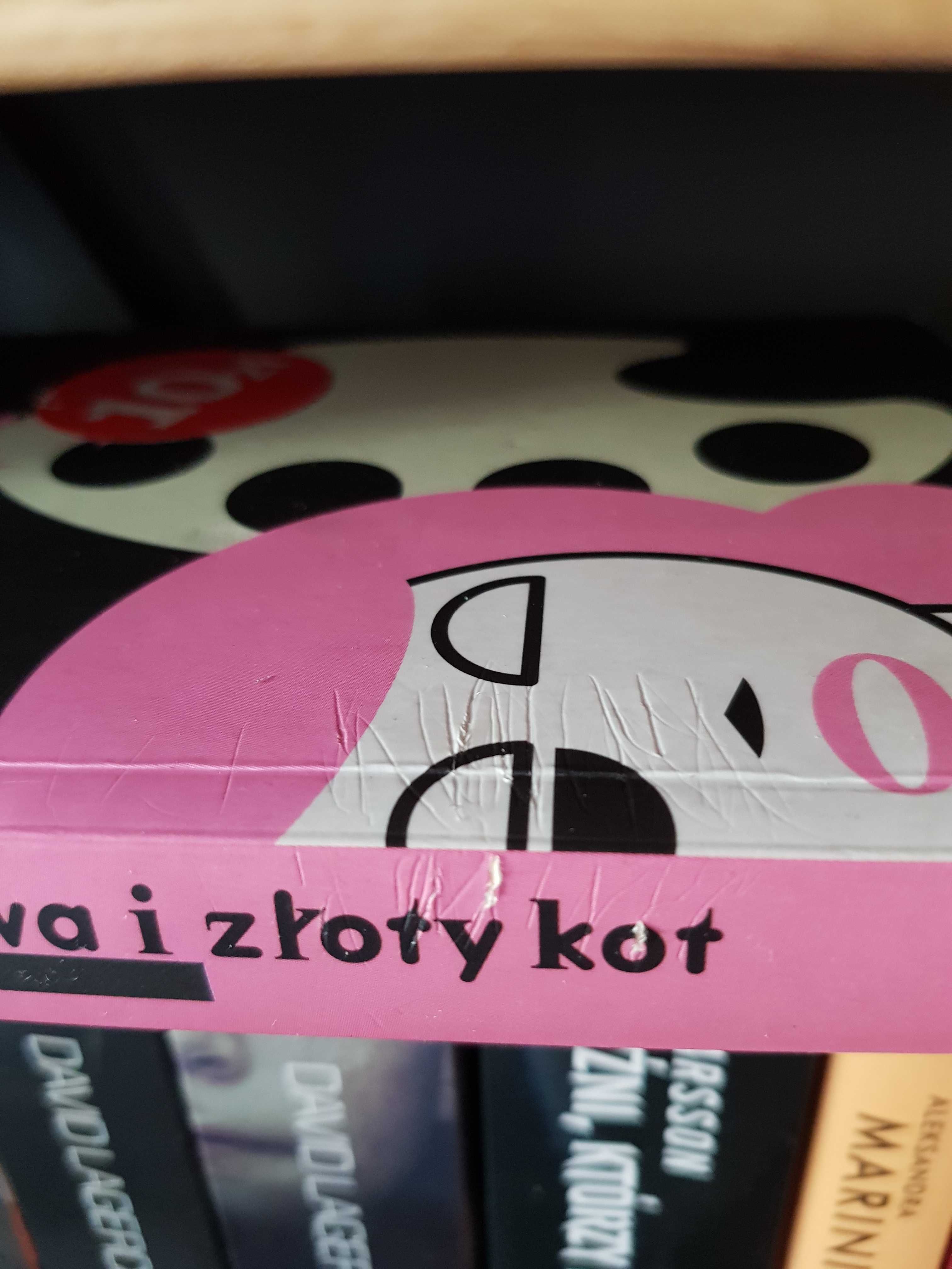 Joanna Szymczyk - Ewa i złoty kot