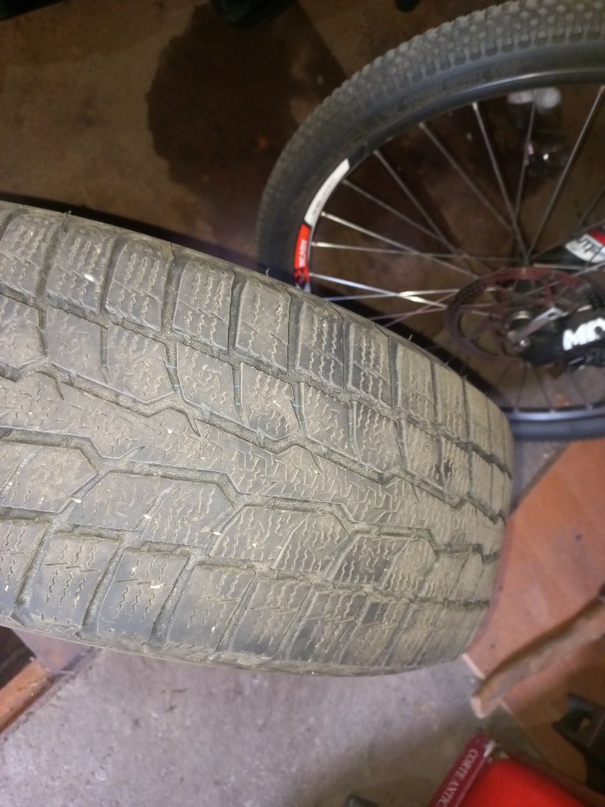 Зимові шини Toyo observe gsi-6 195/65/r15 91H