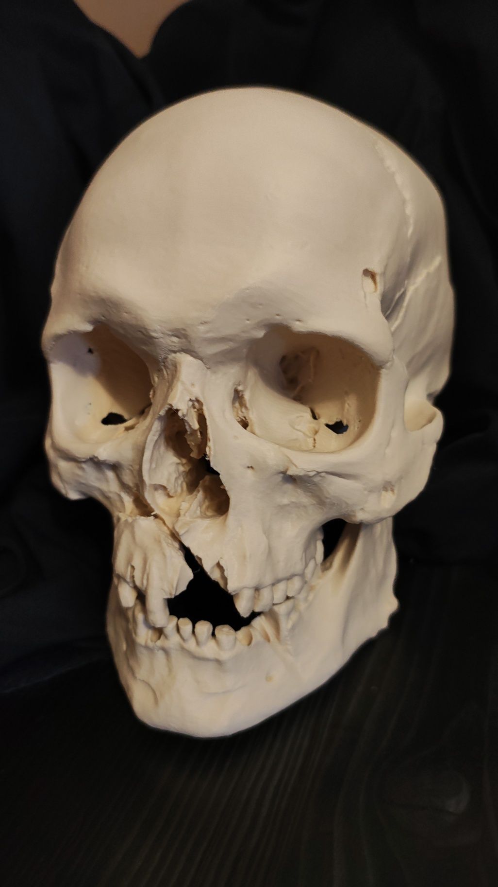 Model 3d czaszka ludzka pełny wymiar