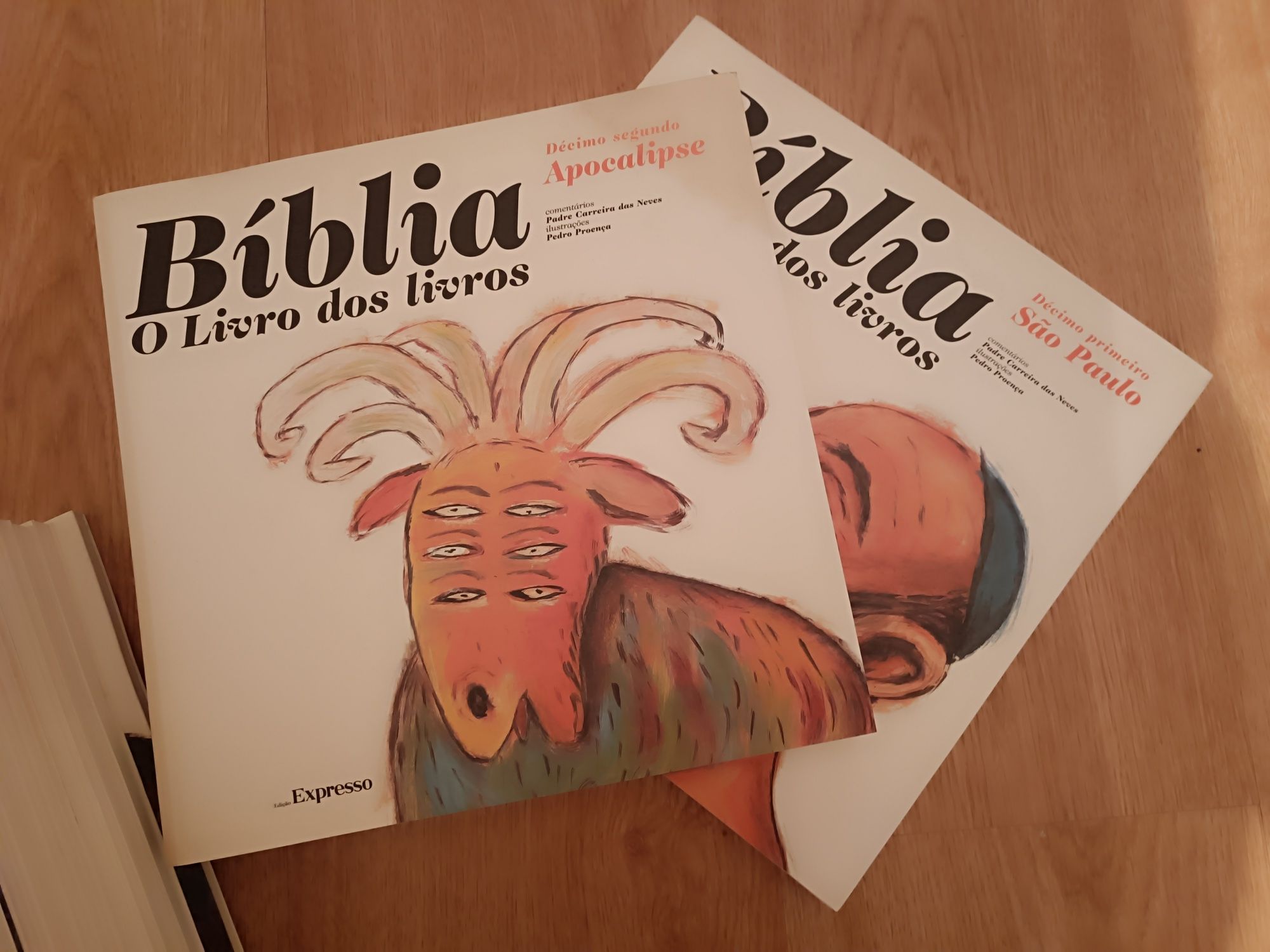 Livro Bíblia o livro dos livros