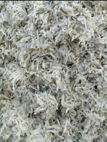 Доставка Жому ціна договірна...