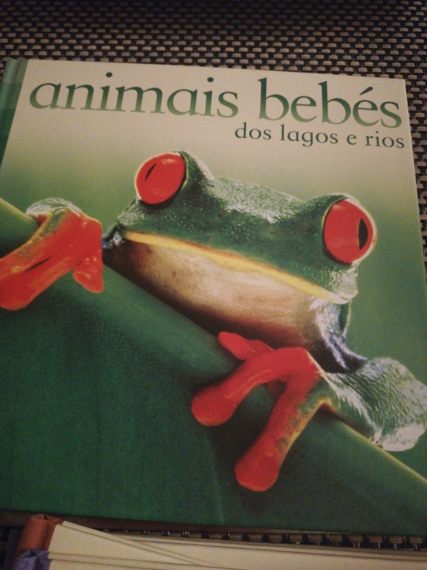 Colecção de livros "Animais bebés"