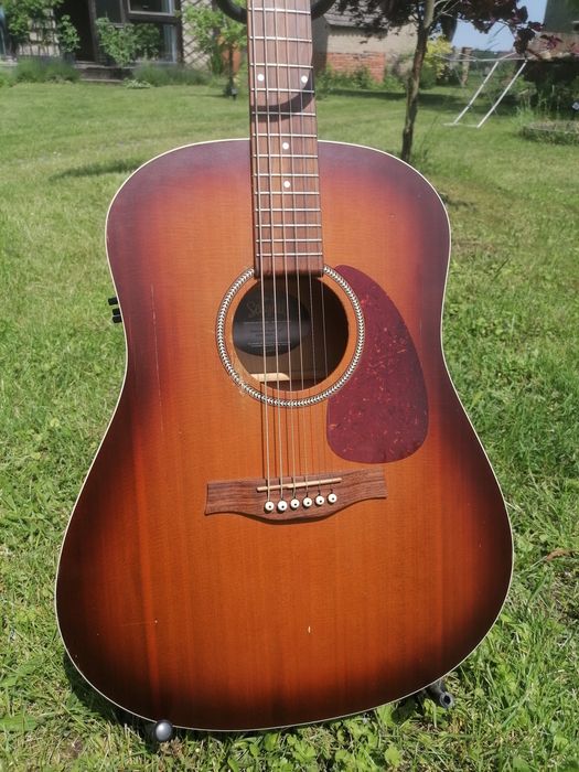 Seagull Entourage Rustic Qit