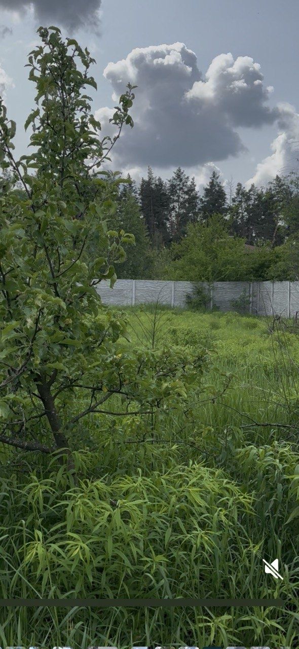 Дом Дача земля,Гарний торг