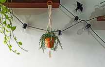 Suporte para vaso em Macramé