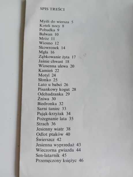 Kusek Karolina - Spacerkiem przez pole