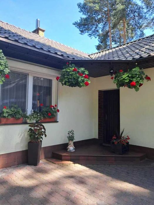 Sprzedam dom w Oćwiece