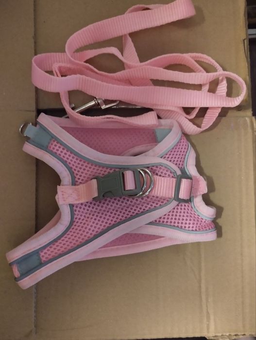 Продам новый поводок, для кошек и собачек!