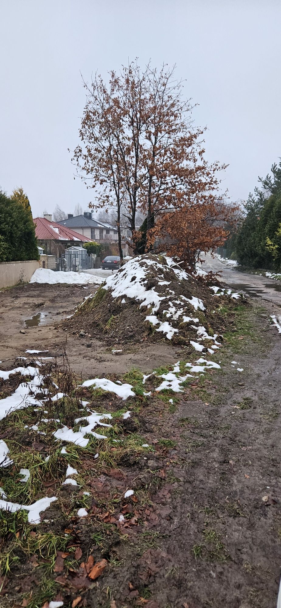 Oddam ziemię za darmo. Transport we własnym zakresie. Koszalin