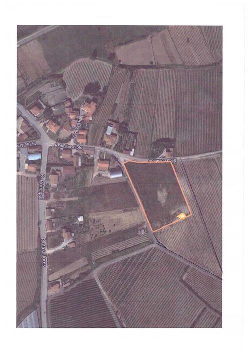 Terreno à venda em Freiria, Torres Vedras