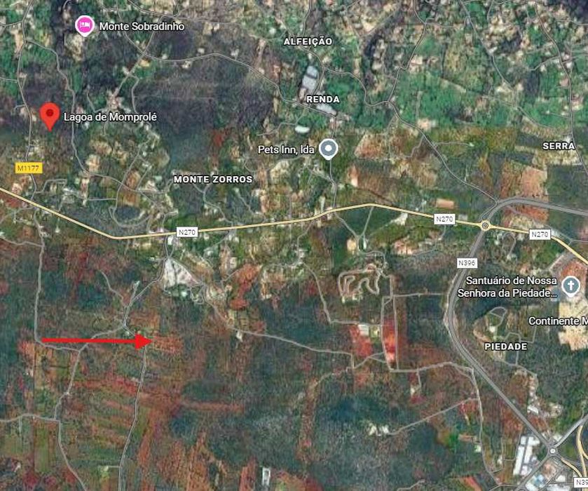 Terreno rústico para arrendar - Loulé - com eletricidade e bom acesso