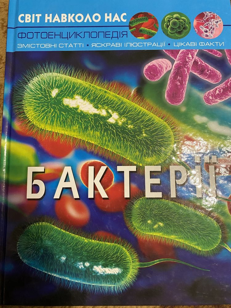 Бактерії фотоенциклопедія.