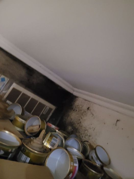 Предлагаю свои услуги по уборке квартир /помещений