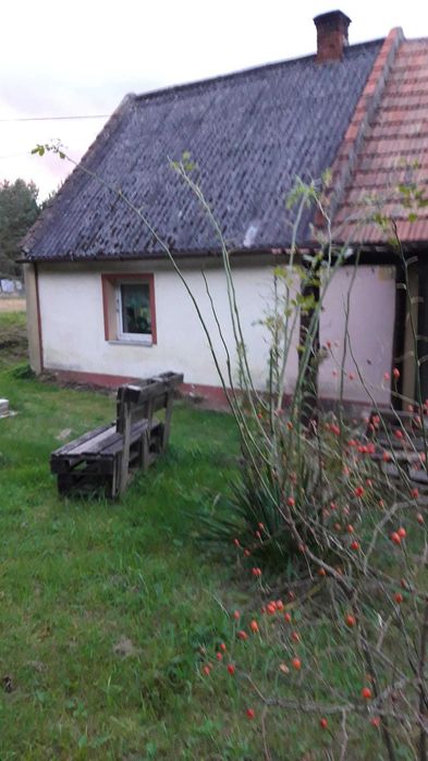 Dom jednorodzinny