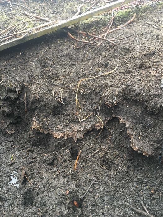 Obornik koński sezonowany workowany lub luzem.