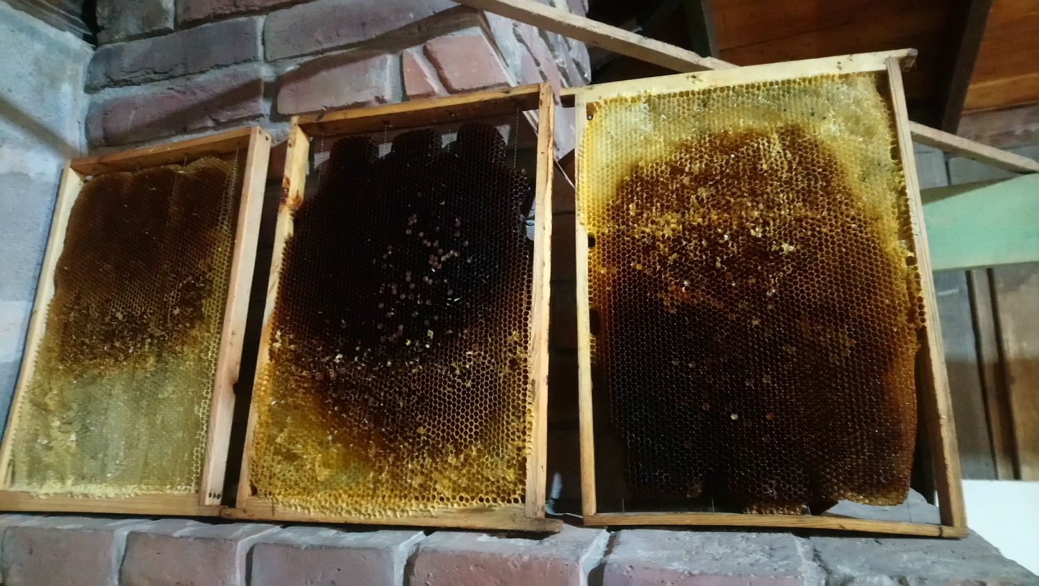 Бджолині рамки, сушнина.